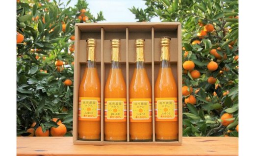 100％ みかんジュース 500ml 合計4本 セット ストレート 無添加 嶋市農園 ｜ 和歌山有田 丸絞り 和歌山 有田 国産 果汁 CL002