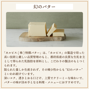 カルピス(株)特撰バター2種セット（450g×2本）【有塩・食塩不使用を各1本】015-048