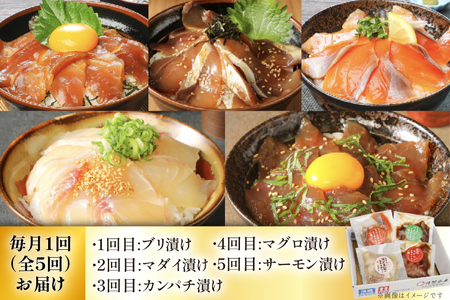 海鮮丼 5か月 定期便