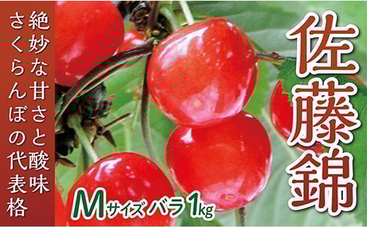 
            【令和7年産予約】さくらんぼ「佐藤錦」Mサイズ バラ1kg
          