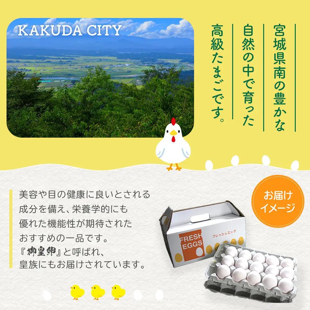おおえだファーム アスタキサンチン たまご（白）Lサイズ 30個入り｜たまご