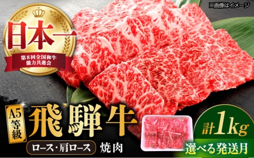 【11月発送】飛騨牛 焼肉用 ロース・肩ロース 1kg A5等級 牛 肉 和牛 牛肉 飛騨牛 高級肉 冷凍 国産 国産牛肉 ブランド牛 焼肉 焼き肉 やきにく 焼肉用 赤身 ロース ろーす 肩ロース カタロース 多治見市 / 渡辺精肉店 [TAZ034-11]
