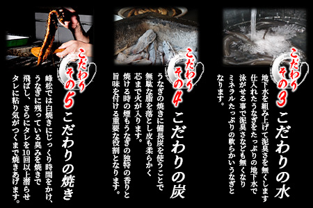 B-14 うなぎの蒲焼 １尾入り 180～200g 大型サイズ 鰻 ウナギ 蒲焼き タレ付き 密封パック入り 佐賀県 鹿島市 冷蔵