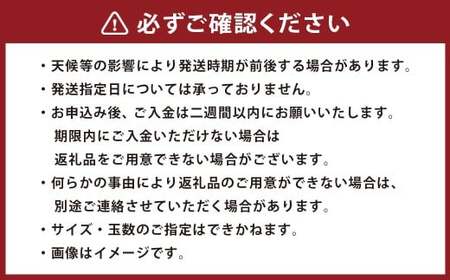 ＜ R8年熊本地震復興支援 ＞豊水梨 約1.8kg（4～7玉） なし ナシ 梨 くだもの 果物 果実 【2027年8月上旬～8月下旬迄発送予定】