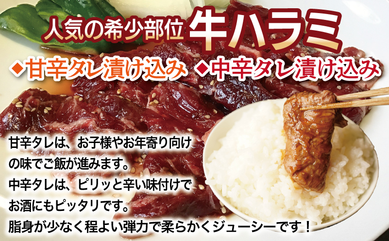 【満足牛ハラミ】3種セット （甘辛タレ漬け・中辛タレ漬け・オリジナルスパイス仕込み） 合計1.5kg 【味付け ハラミ 小分け 焼くだけ 簡単調理 BBQ 牛肉 250g×6P】 G3364