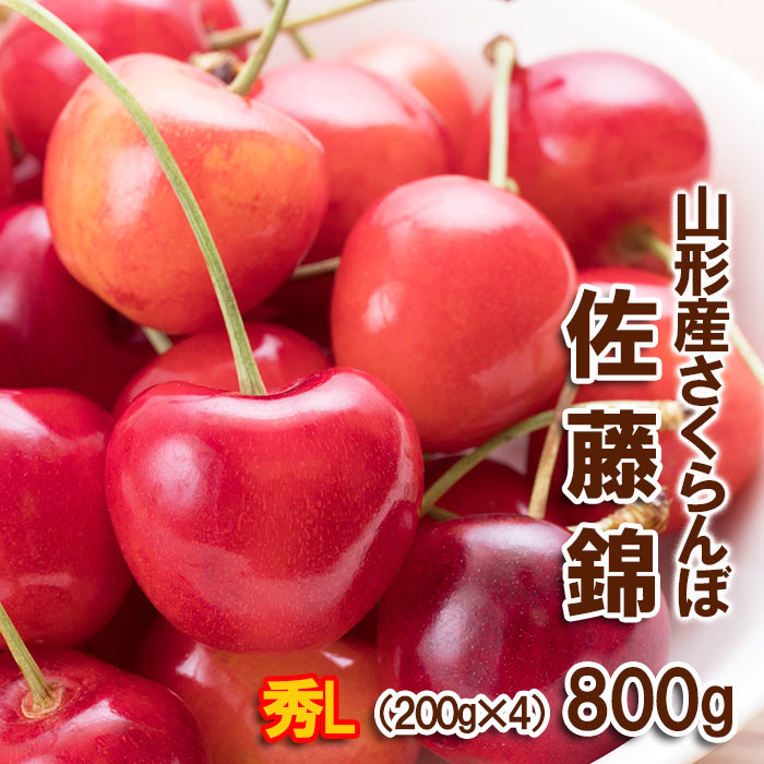 さくらんぼ 佐藤錦 Lサイズ 720g(180g×4パック) 【令和8年産先行予約】FS25-568