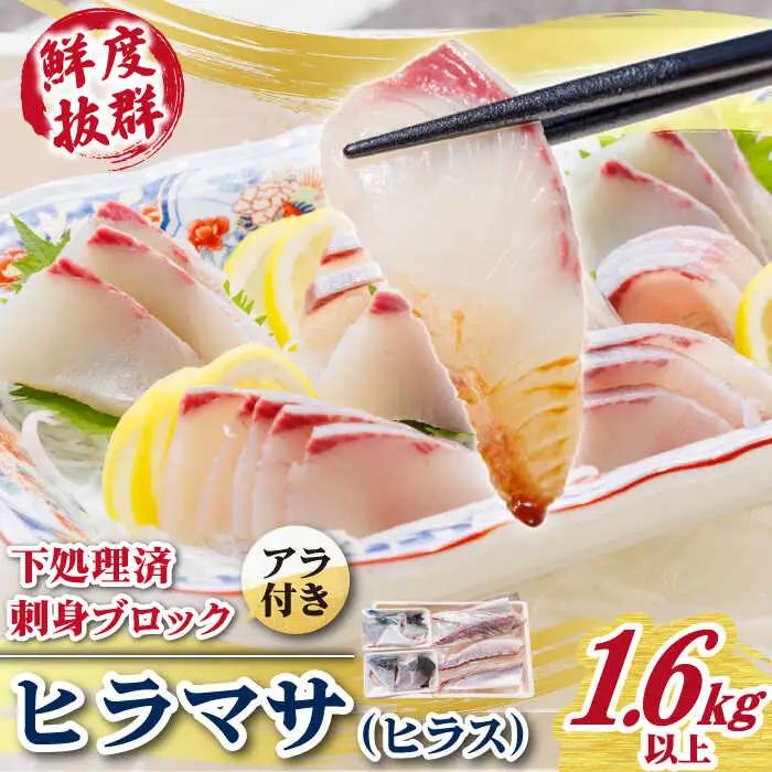 ヒラス（ヒラマサ）アラ付き 刺身 ブロック（1.6kg以上）[RBK004] 魚