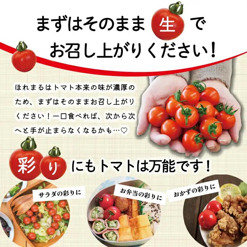 明和町産 完熟 トマト ほれまる 500g と パウンドケーキ の セット 絶品 美味しい 野菜の甘み ミニトマト 朝採り 新鮮 生鮮 野菜 あっさり お菓子 洋菓子 おやつ スイーツ おすすめ