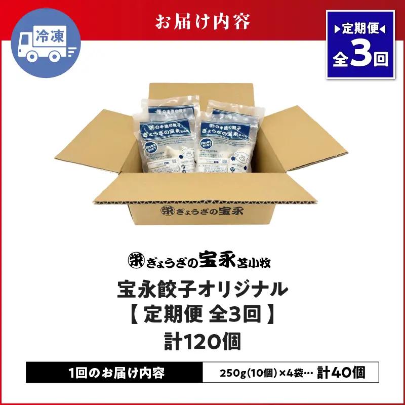 【 全3回 定期便 （ 毎月 ） 】 宝永 餃子 10個入 セット （ 宝永餃子 10個入 × 4袋 ） 合計 1.0kg T004-T03-02 惣菜 総菜 加工食品