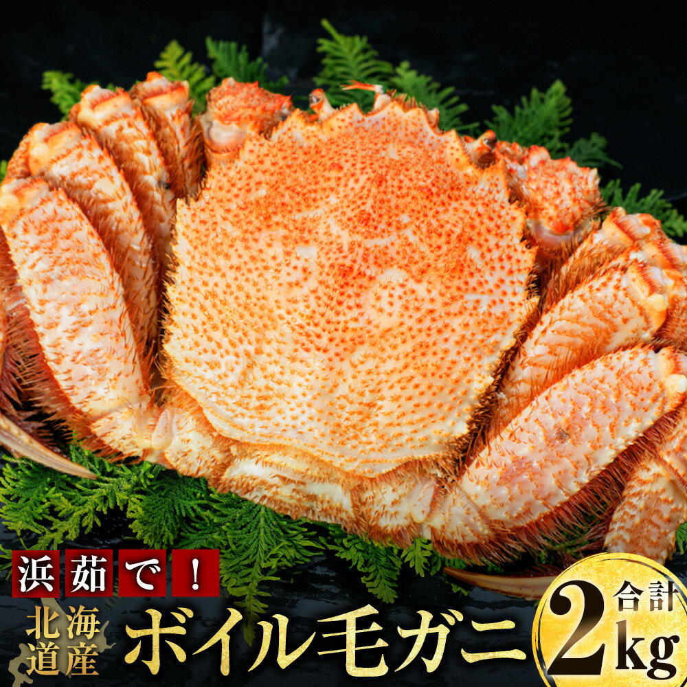 【ふるさと納税】【浜茹で！】ボイル毛ガニ2.0kg 詰め（冷凍）5尾入り 茹で 毛蟹 ボイル 活毛ガニ 毛ガニ かに カニ 蟹 かにみそ 魚介類 海産物 冷凍 調理レシピ付き 北海道産 冷凍配送 北海道 釧路市 送料無料