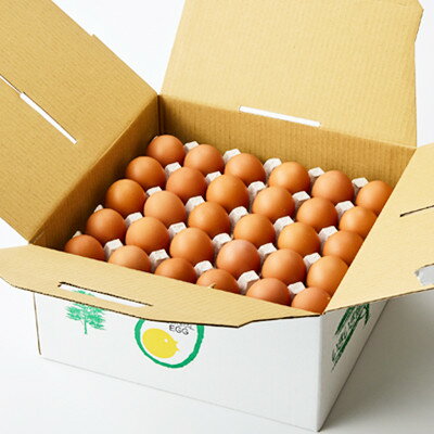 【ふるさと納税】大分生まれのAW飼い有精卵「豊の米卵」60個入り【配送不可地域：離島】【1610936】