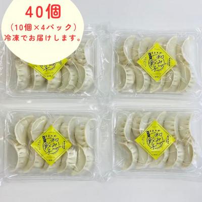 ふるさと納税 岩泉町 【岩泉黒豚 和み餃子】岩手県岩泉町産 龍泉洞黒豚使用の手包み餃子 40個 |  | 01