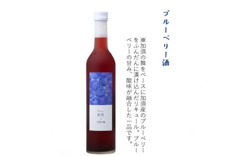 
加須産の酒米と果実だけでつくったお酒　ブルーベリー酒　箱入500ml
