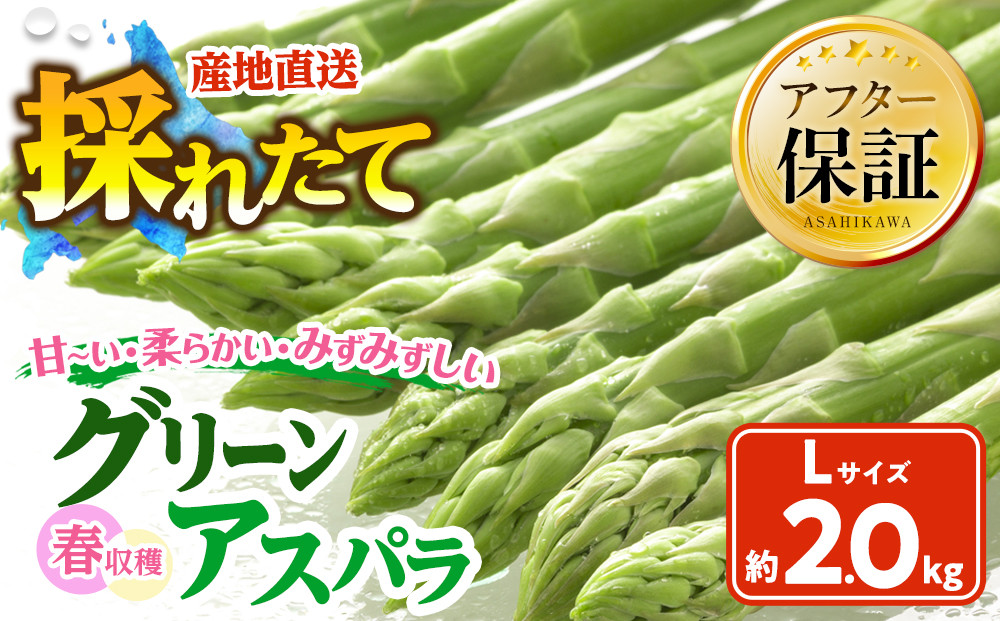 【先行予約】春収穫グリーンアスパラLサイズ（500g×4）約2.0kg（2026年6月上旬から発送開始予定）【 アスパラ アスパラガス 朝採り とれたて 野菜 旬 小分け 保存 産直 産地直送 お取り寄せ 旭川市 北海道 】_05531