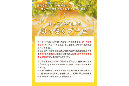 ほろにがスイーツ・はっさく焼き菓子 はっさくプーロ 1箱　【アミティ有限会社 観光特産センターこかわ】《90日以内に順次出荷(土日祝除く)》 和歌山県 紀の川市