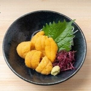 【令和7年発送先行予約】天然生うに 100g×2個【2025年5月上旬～8月発送】［05］