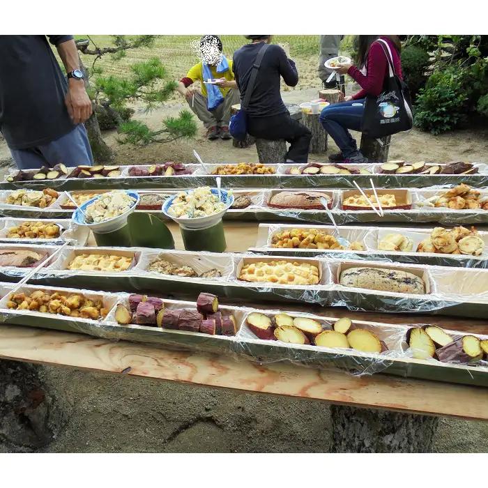 島根県飯南町産サツマイモ うやま農園のさつまいも　3.3㎏【さつまいも 生 紅はるか サツマイモ 生いも 農薬不使用 農家直送 】