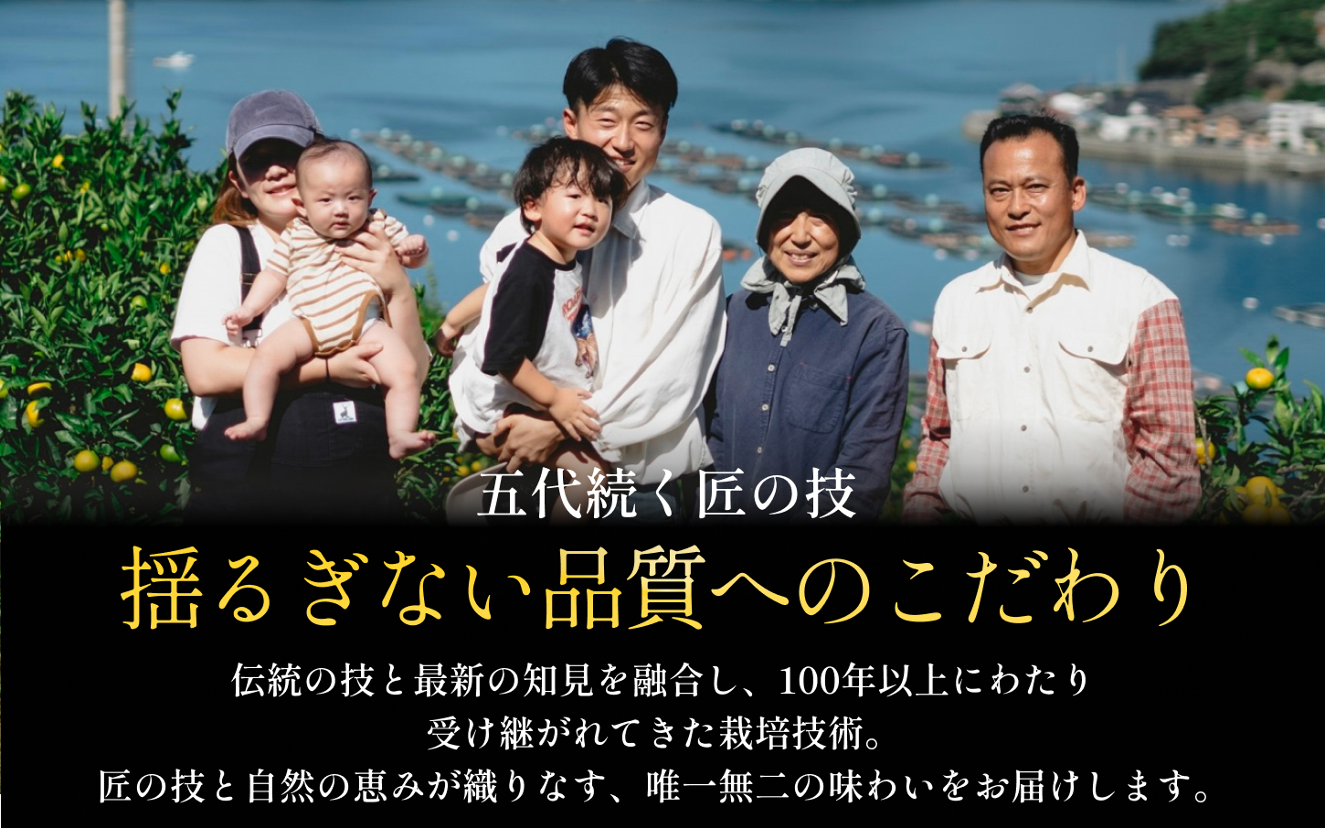 【先行受付】2027年発送!五代目が厳選した【訳あり】媛小春 2kg【A70-161】【1710481】 YWTK160