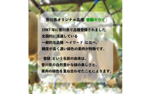 濃厚な甘み！ 香緑キウイ 約2kg 香川県産 香緑 キウイ キウイフルーツ 果物 ふるさと納税キウイ 香川県 丸亀市