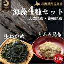 【ふるさと納税】海産物 北海道 利尻島産 4種 海藻 セット 天然利尻昆布 100g 養殖利尻昆布 150g とろろ昆布 30g 塩蔵生わかめ 150g 米田商店 利尻昆布 昆布 こんぶ コンブ わかめ だし 出汁 だし昆布 加工食品 乾物 利尻　【 利尻町 】