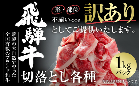 訳あり 飛騨牛 切落し 1kg 訳あり 飛騨高山ミート [MZ035]