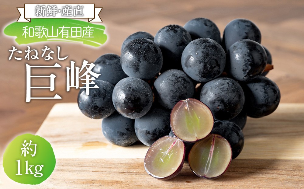 
                  ［先行予約］[新鮮・産直]和歌山有田産のたねなし巨峰約1kg★2026年8月上旬頃より順次発送
                