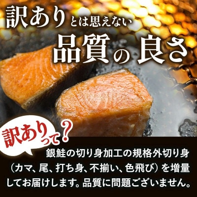 訳あり塩銀鮭切り身 600g(300g×2袋)【V003250P2】【配送不可地域：離島】【1721725】