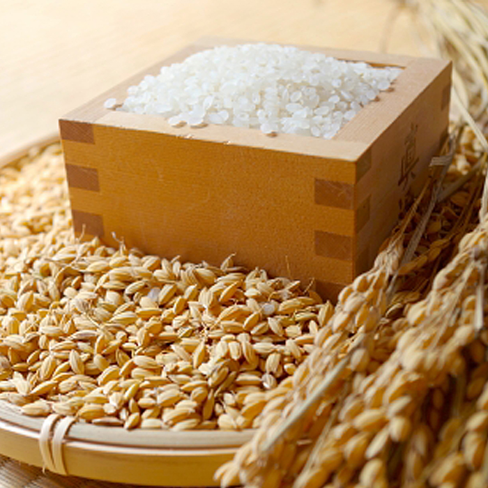  【令和6年産新米】【定期便3回】新米☆特別栽培米 つや姫(