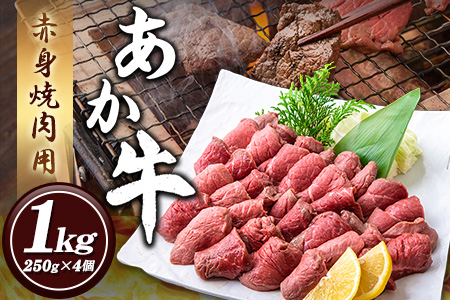 あか牛 赤身焼肉用 1kg (250g×4個) 有限会社幸路《60日以内に出荷予定(土日祝除く)》あか牛 あかうし 赤牛 焼肉 冷凍 小分けパック