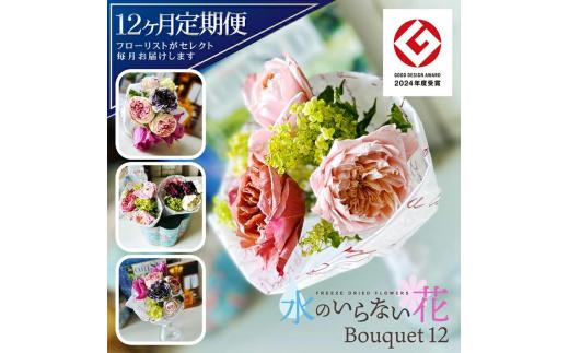 SL0230　【12回定期便】水のいらない花　ゼロフラワー定期便「Bouquet12」