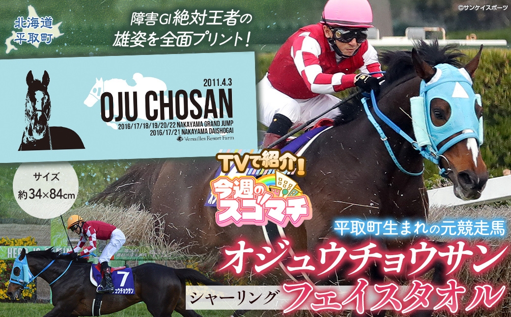 
                  【オジュウチョウサン】シャーリングフェイスタオル【ふるさと納税 人気 おすすめ ランキング 馬 競馬 競走馬 オジュウチョウサン グッズ 北海道 平取町 びらとり 送料無料】 BRTV010
                