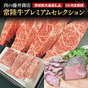 【ふるさと納税】【常陸牛】肉の藤井商店（定期便）常陸牛プレミアムセレクション ～贅沢な3か月～ 定期便 3か月 贅沢牛肉定期便 高級牛肉 最高級牛肉 豪華牛肉 A5 高級ステーキ 特選ステーキ 最高級 ブランド牛 贈答 化粧箱 黒毛和牛（茨城県共通返礼品）(FL-29)