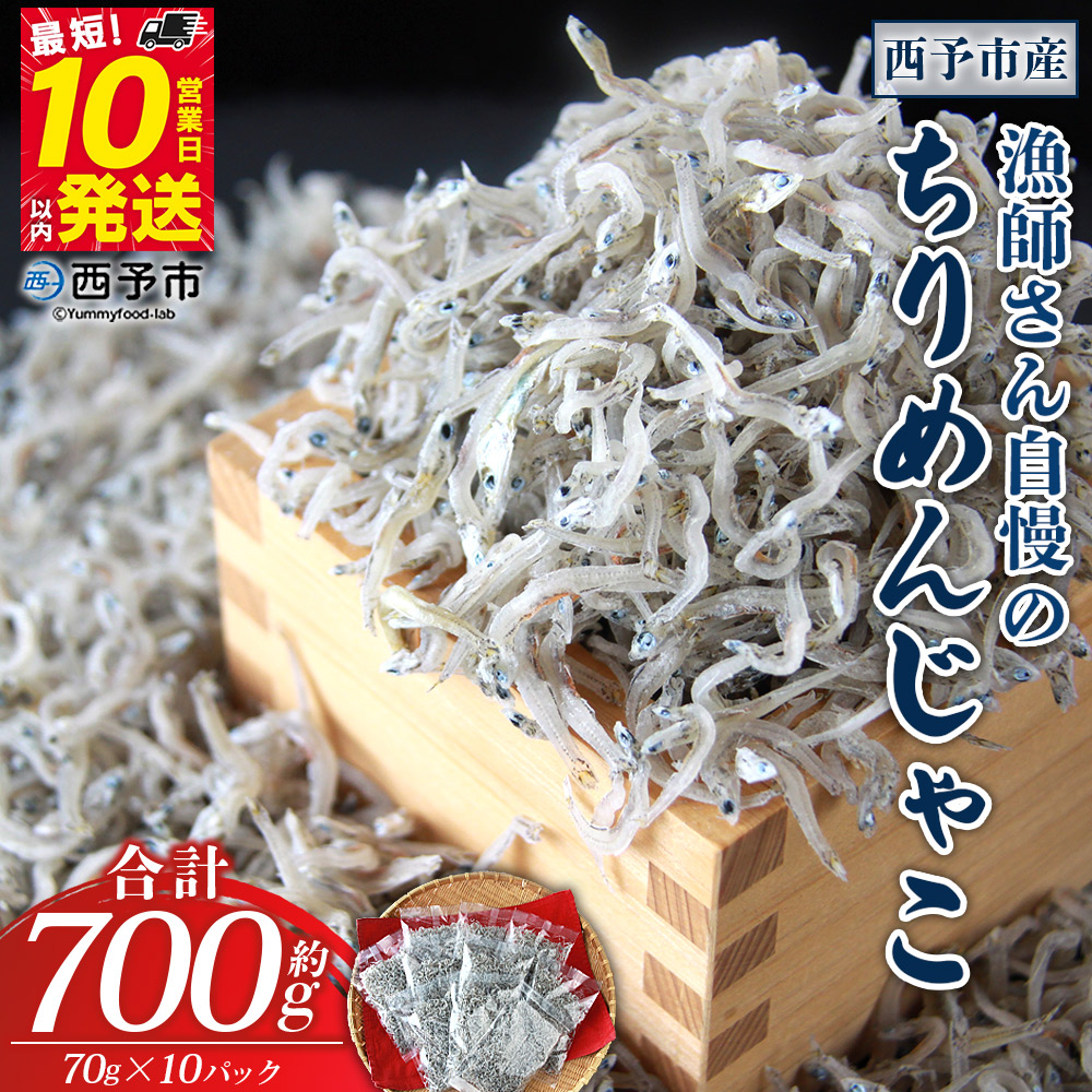 ＜漁師さん自慢のちりめんじゃこ 合計700g（70g×10パック）＞ しらす シラス おじゃこ お魚 おさかな 小魚 魚介類 乾燥 海の幸 海鮮 小分け 個包装 おすそ分け 国産 産地直送 送料無料 特産品 濱田水産 愛媛県 西予市【冷蔵】『最短10営業日以内に発送予定』