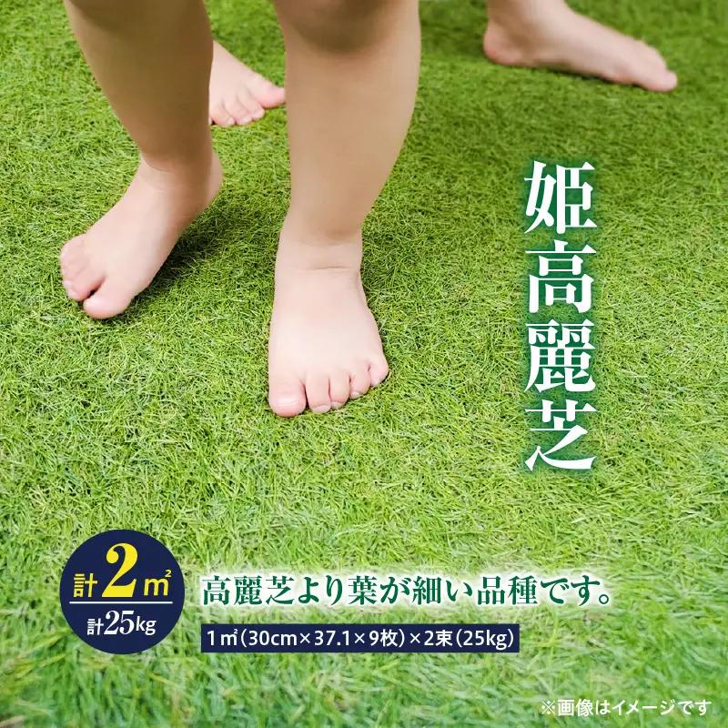 【10月から5月に発送】 姫高麗芝（2平方メートル） KN177-004-01 庭 芝生