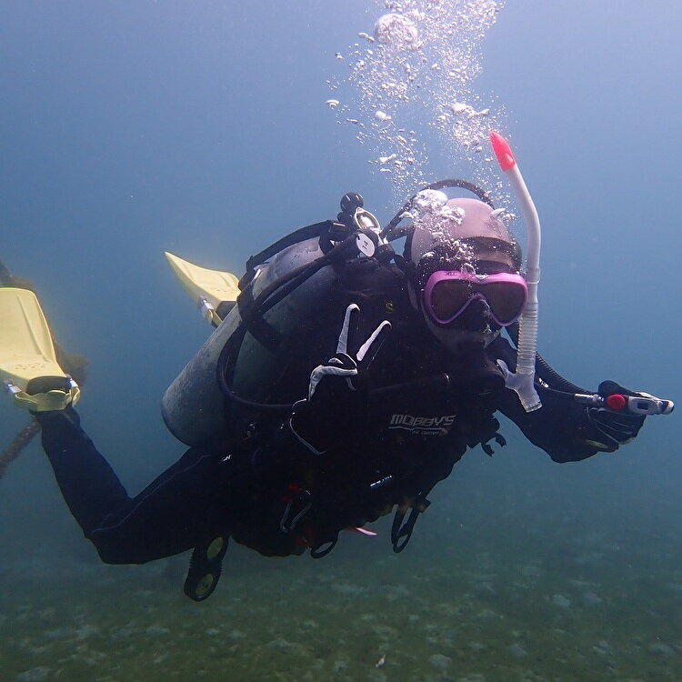 【ふるさと納税】 三浦半島城ヶ島でPADIオープンウォーターライセンス取得