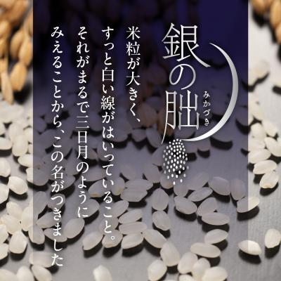 ふるさと納税 下呂市 先行受付【2025年産米】5kg×1 皇室献上米「銀の朏」いのちの壱 米 精米【13-2【2】】 |  | 01