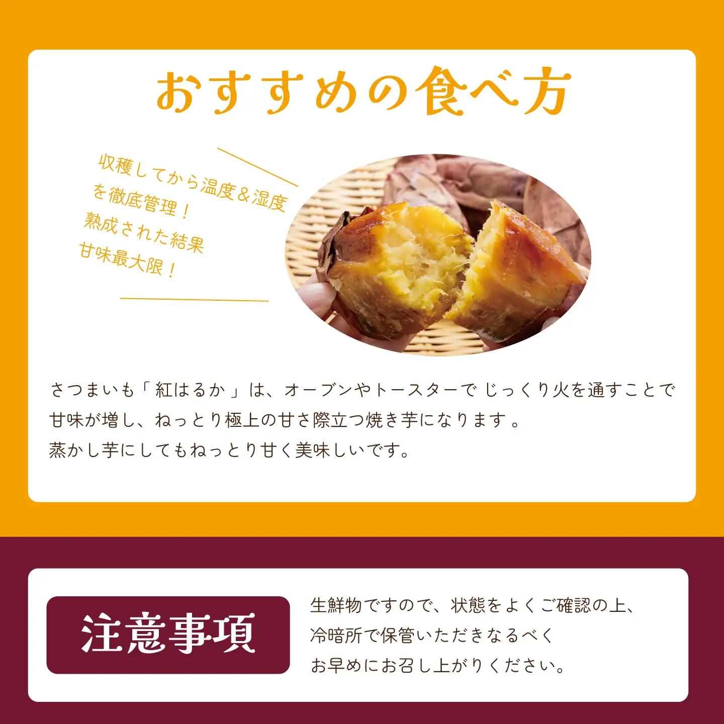 先行予約 さつまいも 訳あり 紅はるか 4.5kg さつまいも
