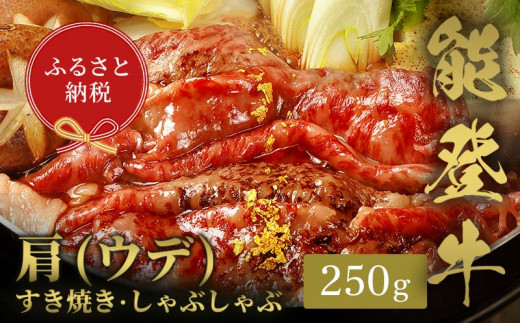 【和牛セレブ】能登牛　牛肩(うで) すき焼き・しゃぶしゃぶ 250g 牛肉 最高級 肩肉 うで肉 シャクシ すき焼き しゃぶしゃぶ 黒毛和牛 能登牛 和牛セレブ F6P-2132 クラウドファンディング 実施中 GCF