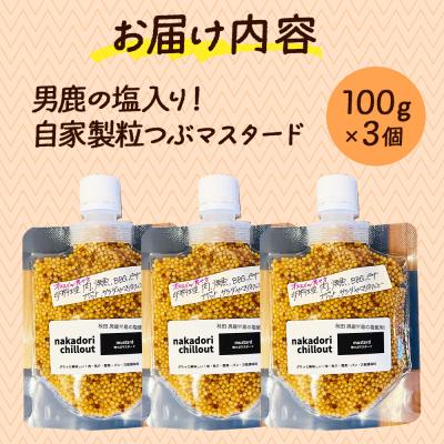 ふるさと納税 秋田市 男鹿の塩! 自家製 粒つぶマスタード(3個セット) 秋田県 秋田市|15_nca-020301 |  | 03