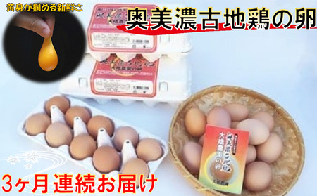 卵 奥美濃古地鶏の卵 神代の味 卵【定期便3ヶ月】