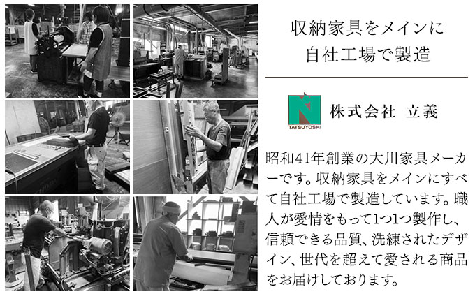 Paste（パステル）幅58H シューズボックス ダーク【北海道・東北・沖縄・離島不可】CN042-DK