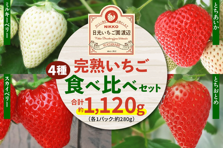 [2026年1月上旬より順次発送] 4種類の「完熟いちご」 食べ比べ！ Aセット 280g×4パック 日光の自然が育むいちご｜期間限定 イチゴ 苺 フルーツ とちおとめ とちあいか スカイベリー ミルキーベリー 果物 産地直送 日光産 栃木県産 [0652]