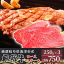 【ふるさと納税】【飛騨牛】海津市産ロースステーキ250g×3 【配達不可：離島】　【 お肉 牛肉 ステーキ用 国産 岐阜県産 ブランド牛 夕飯 記念日 ディナー 柔らかい サシ 霜降り ボリューミー とろける 旨味 】