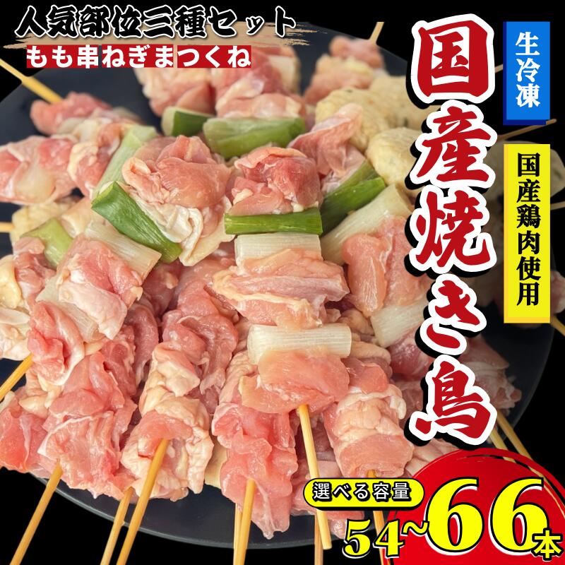 【ふるさと納税】 焼き鳥 セット 54～66本 国産 鶏肉 もも つくね ねぎま 鶏肉 やきとり 串焼 チキン もも肉 つくね おかず 塩焼き スパイス 照り焼き おつまみ ビール BBQ パーティー イベント 小分け 包装 冷凍 徳島 小松島 とり信