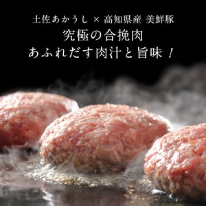 幻のあかうし和牛ハンバーグ 5個入り 6ヶ月定期便 1個120g 田野屋青蜂 白鯆 完全天日塩練り込み