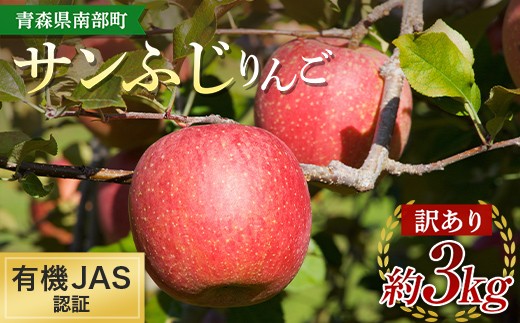 《訳あり》 有機JAS認証 サンふじ りんご 約3kg 【和楽堂りんご養生農苑】 青森りんご リンゴ 林檎 アップル 果物 くだもの フルーツ オーガニック 無農薬 おすすめ 家庭用 わけあり あおも