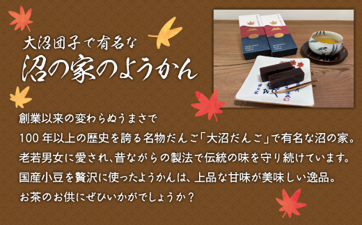 紅葉ようかん3本入り おやつにお茶請けに 大沼で有名「沼の家」 NAAE002
