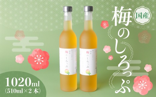 梅 すっきり爽やかな味～国産 梅のしろっぷ 2本セット | 梅シロップ 国産梅 梅 ドリンク 梅ジュース ジュース 飲料 シロップ 梅しろっぷ 梅エキス さっぱり飲料 クエン酸 ギフトセット お中元 ギフト 爽やかドリンク お取り寄せ ノンアルコール 群馬県 前橋市