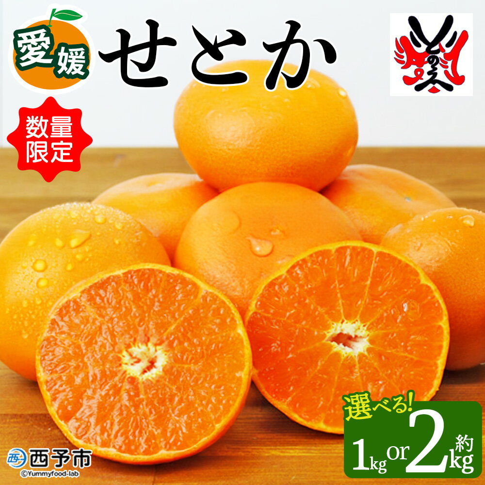【ふるさと納税】数量限定＜愛媛西予市産 せとか 約1kg／2kg＞ 果物 くだもの フルーツ 柑橘類 ミカン みかん 甘い 特産品 糖度 家庭用 自宅用 産地直送 渡江から一歩を踏み出す会 食べて応援 愛媛県 西予市 【常温】『2026年3月上旬～4月中旬順次発送予定』