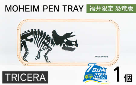 MOHEIM PEN TRAY (TRICERA) [A-053011_02]